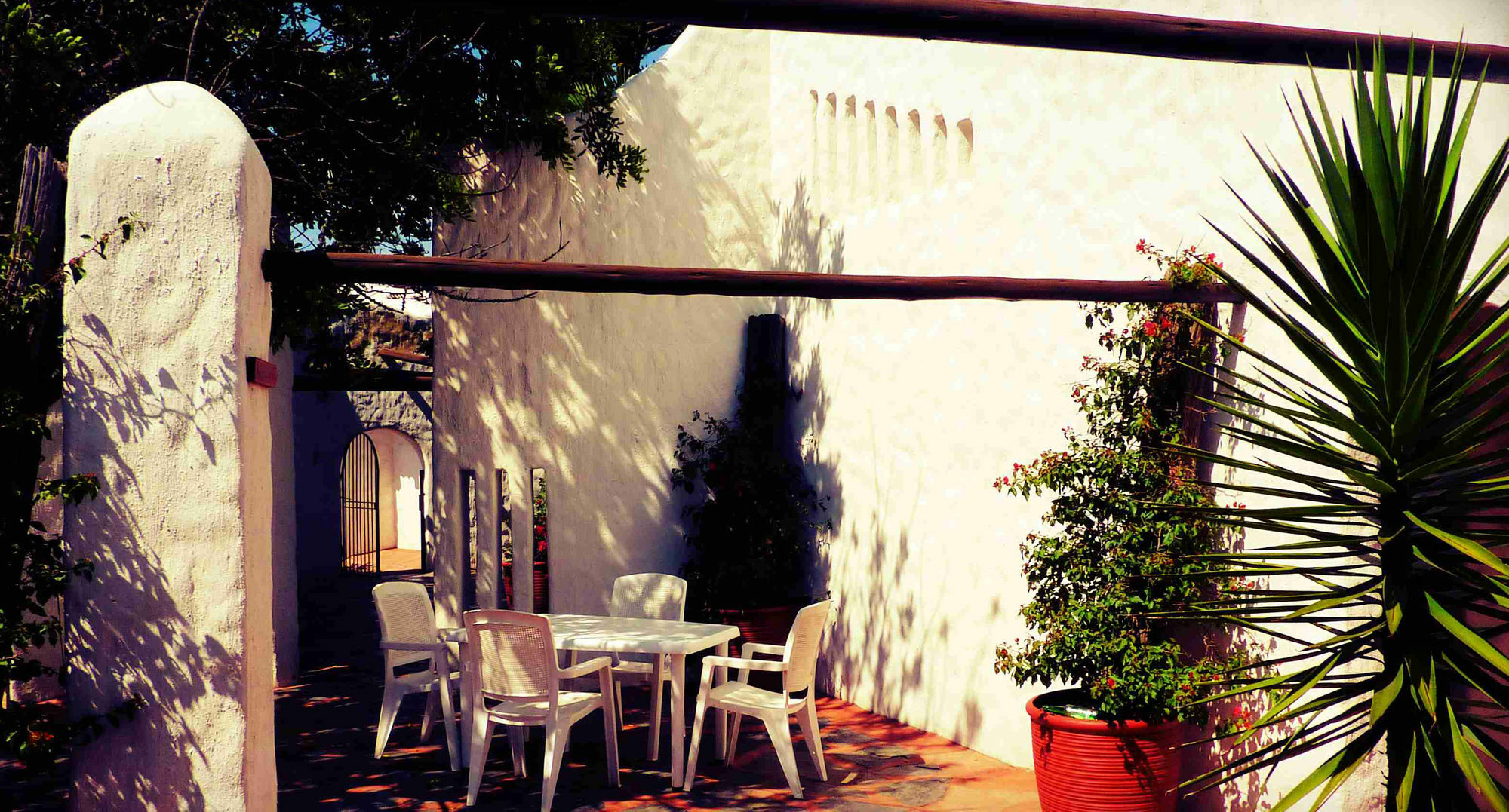By Bush Telegraph Lodge Γιοχάνεσμπουργκ Εξωτερικό φωτογραφία